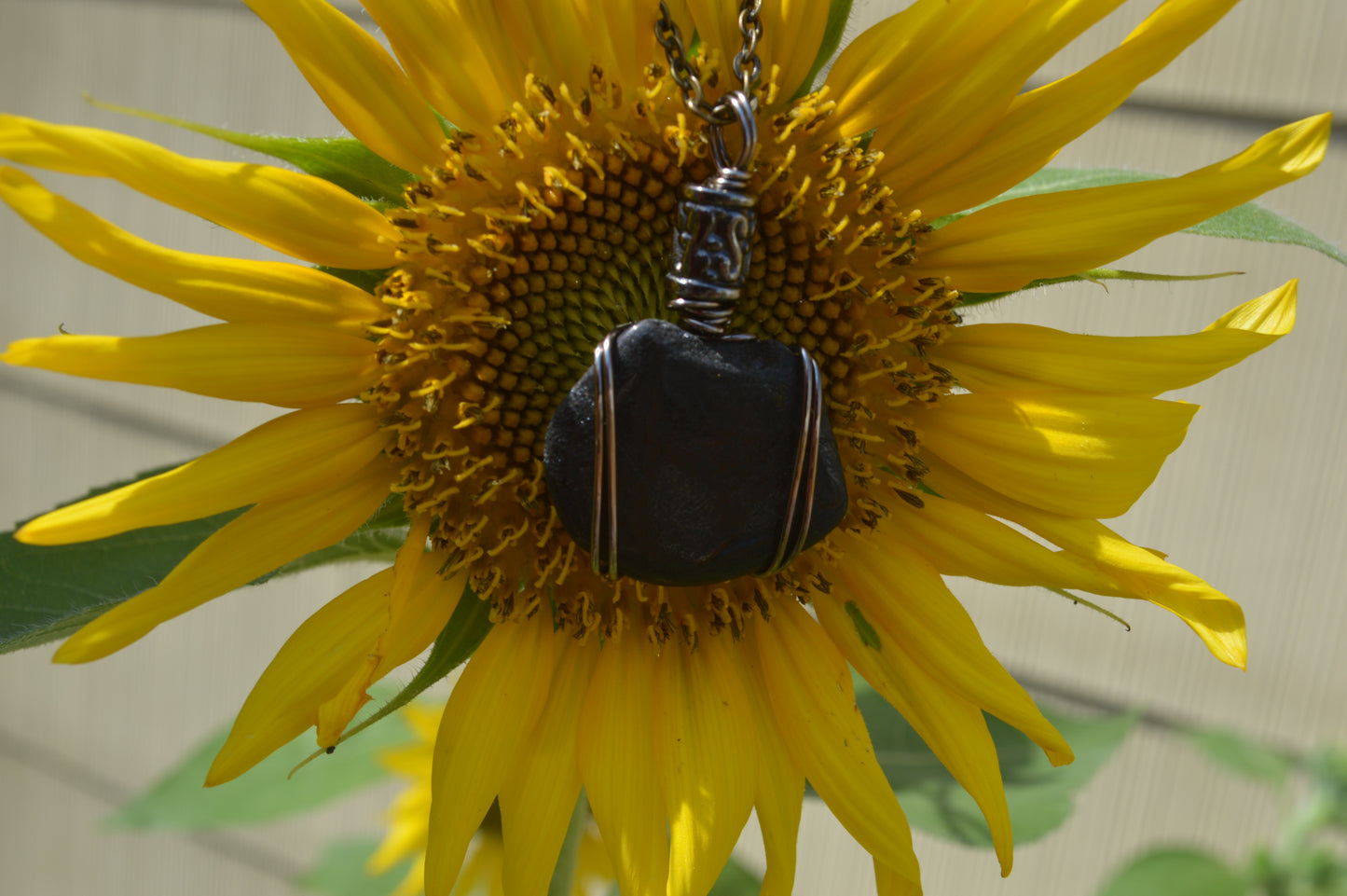 Agate--Black, Wire Wrapped